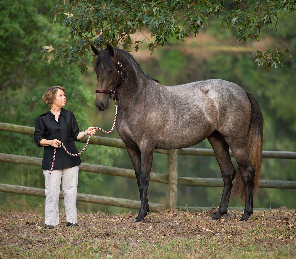 DEM Felicity Lusitano mare